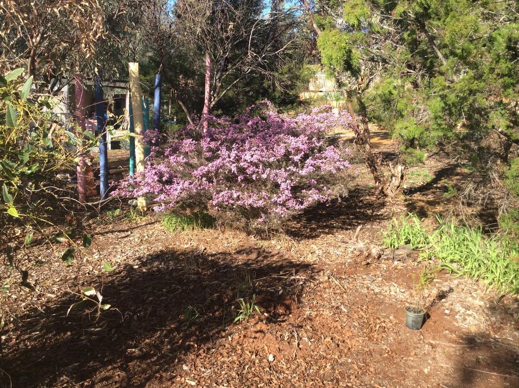 Bed and Breakfast Floravalley à Toodyay Extérieur photo