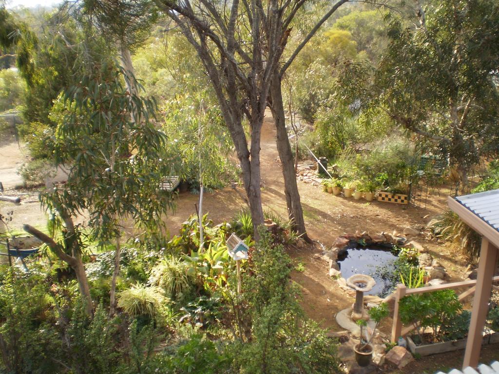 Bed and Breakfast Floravalley à Toodyay Extérieur photo