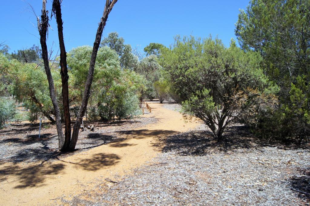 Bed and Breakfast Floravalley à Toodyay Extérieur photo