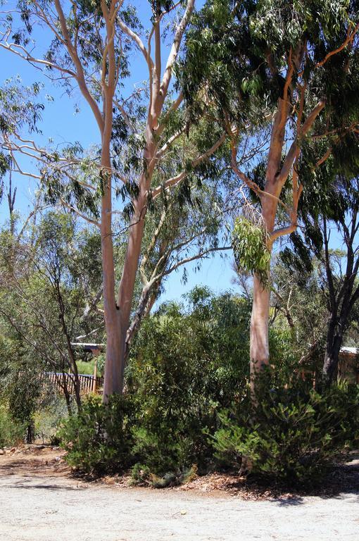 Bed and Breakfast Floravalley à Toodyay Extérieur photo